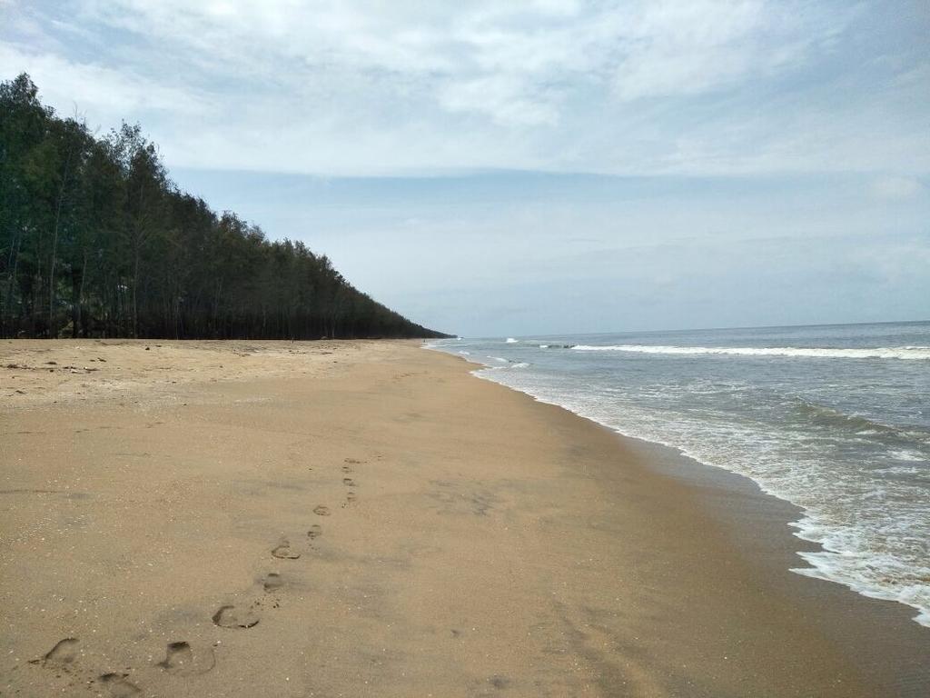 Cherai Beach Retreat Exteriér fotografie